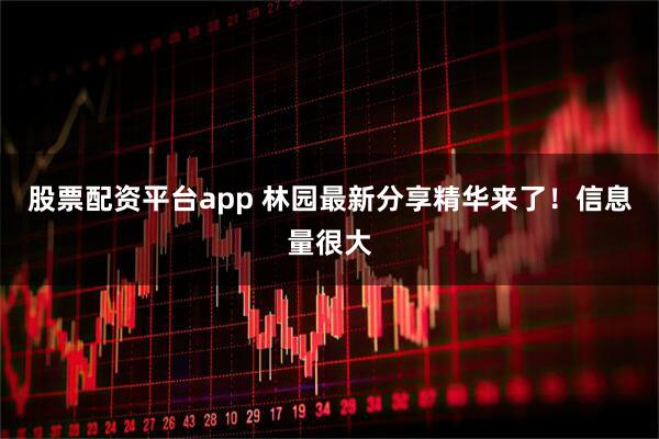 股票配资平台app 林园最新分享精华来了！信息量很大