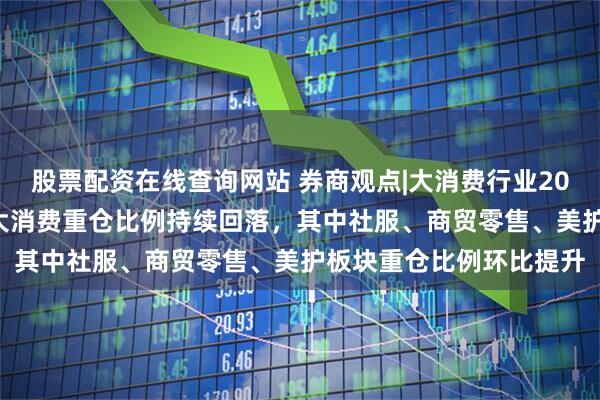 股票配资在线查询网站 券商观点|大消费行业2025Q1基金持仓分析：大消费重仓比例持续回落，其中社服、商贸零售、美护板块重仓比例环比提升