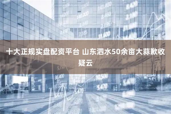 十大正规实盘配资平台 山东泗水50余亩大蒜歉收疑云